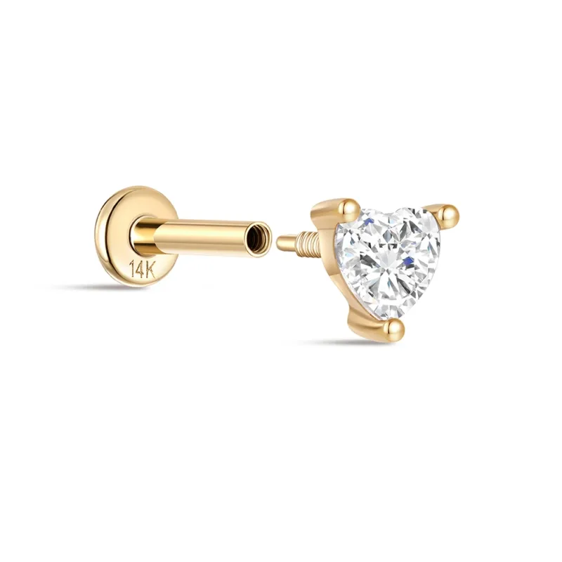 Piercing Cartilage Oreille