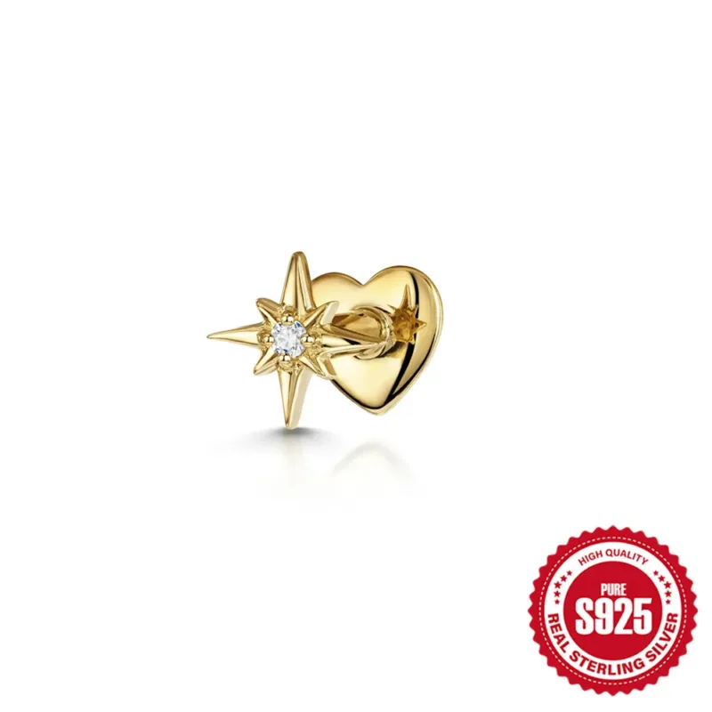 Piercing Oreille Argent